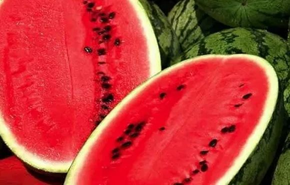 تصویر 3 از قیمت هندوانه صادراتی چابهار + خرید باور نکردنی